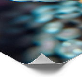 Poster Drôles de poissons et de coraux de près  (Coin)