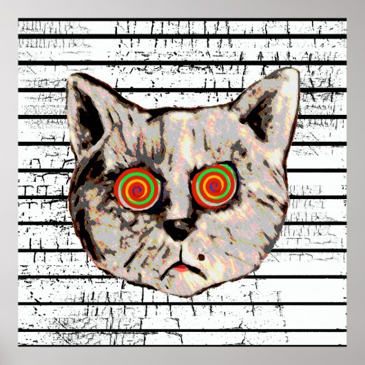 Poster drôles yeux en spirale de chat fou (Devant)