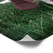 Poster Droopee Et Saggy (Coin)