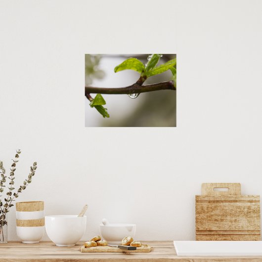 Poster Droplet de pluie (Matte) (Cuisine)