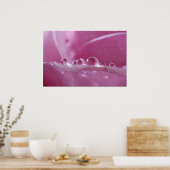 Poster Droplets (Cuisine)