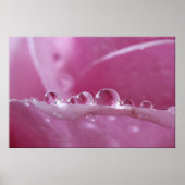Poster Droplets (Devant)