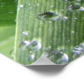 Poster Droplets D'Eau. (Coin)