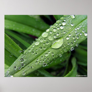 Poster Droplets D'Eau.