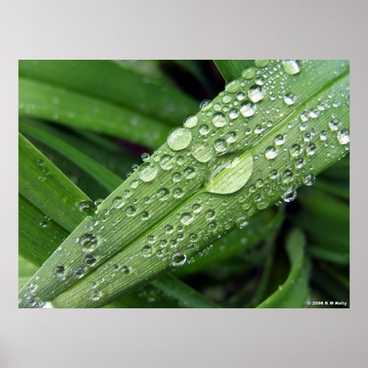 Poster Droplets D'Eau. (Devant)