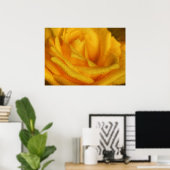Poster Droplets d'eau sur Elegant Rose Jaune (Bureau à domicile)