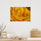 Poster Droplets d'eau sur Elegant Rose Jaune (Cuisine)