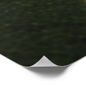 Poster Droplets feuille (Coin)