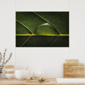 Poster Droplets feuille (Cuisine)