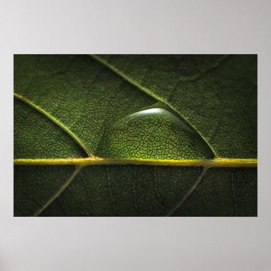 Poster Droplets feuille (Devant)