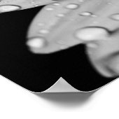 Poster Droplets marguerriers (noir et blanc) (Coin)