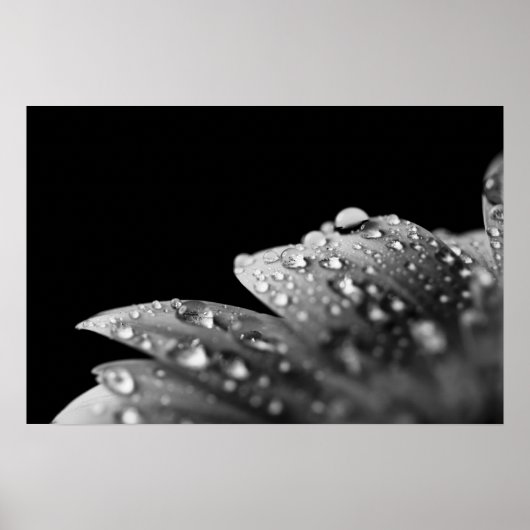 Poster Droplets (noir et blanc) (Devant)