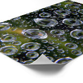 Poster Droplets Spiderweb (Coin)