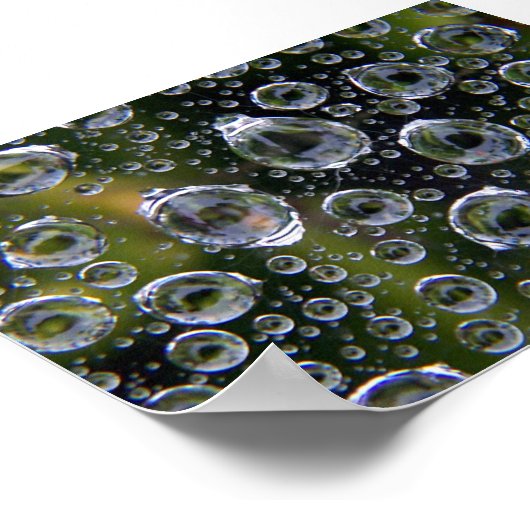 Poster Droplets Spiderweb (Coin)