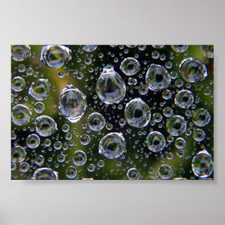Poster Droplets Spiderweb