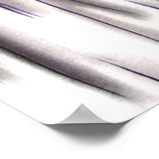 Poster Drosselmeyer du Nutcracker Ballet (Coin)