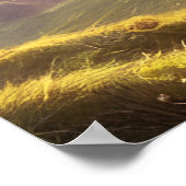 Poster Druid Warrior Princess Imaginaire Art (Coin)