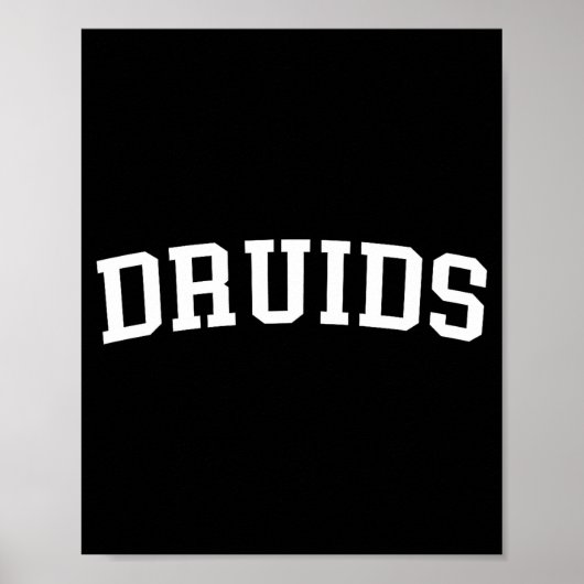 Poster Druids  (Devant)