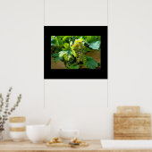 Poster druiven (Keuken)