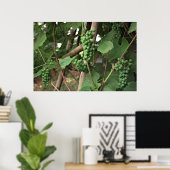 Poster druiven (Thuiskantoor)