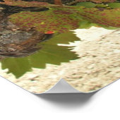 Poster - druiven voor wijnstokken (Hoek)