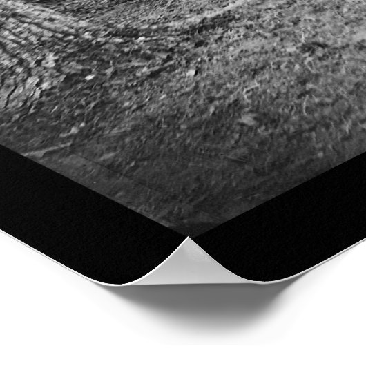 Poster Drum Corps à Bealeton, VA 1863 (Coin)