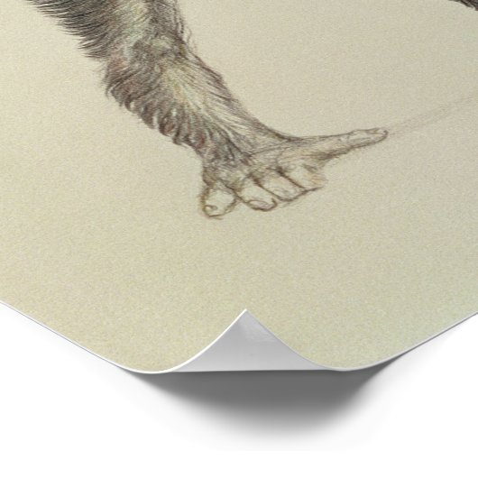 Poster Dryopithecus Africanus (Coin)