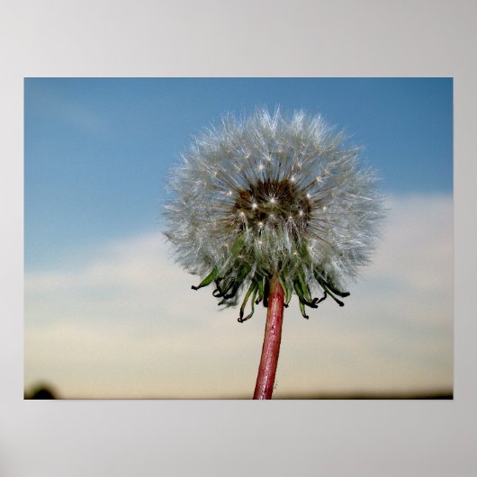 POSTER DSC00033 (Devant)