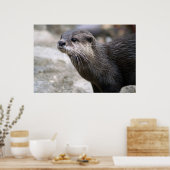 POSTER DSC01768 (Cuisine)