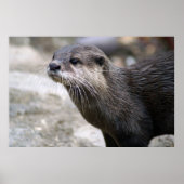 POSTER DSC01768 (Devant)