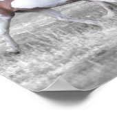 POSTER DSC_0110 (Coin)