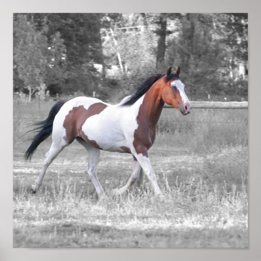 POSTER DSC_0110 (Devant)