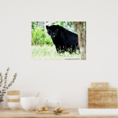 Poster DSC_0235, photo de PAUL GAVIN (Cuisine)