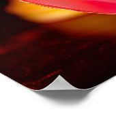 POSTER DSC_3084 (Coin)