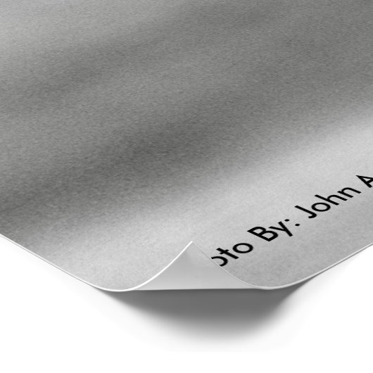 POSTER DSC_8249, Zebra Smile (Coin)