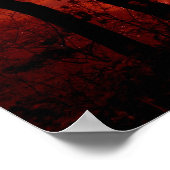 POSTER DSC_9022_sunset à la réserve de location (Coin)