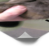 Poster DSCN0356, j'adore les lapins ! (Coin)