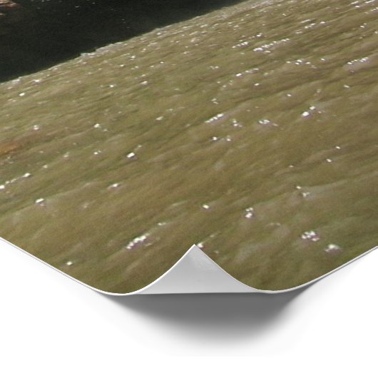 Poster DSCN9348, moroccocarp.com (Coin)