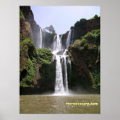 Poster DSCN9348, moroccocarp.com (Devant)