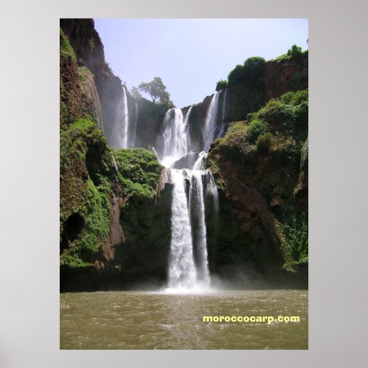 Poster DSCN9348, moroccocarp.com (Devant)