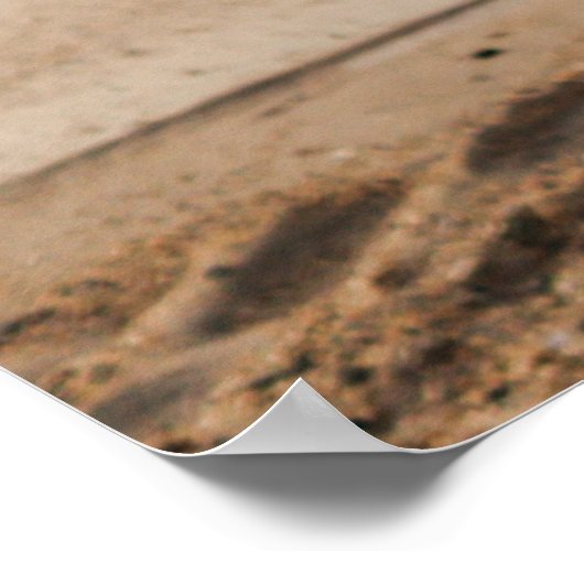 Poster du Bikini d'été (Coin)