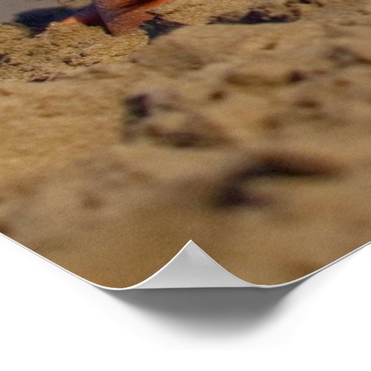 Poster du Bikini d'été (Coin)