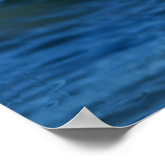 Poster du Bikini d'été (Coin)