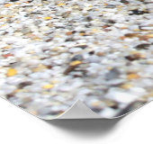 Poster du Bikini d'été (Coin)