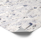 Poster du Bikini d'été (Coin)