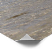 Poster du Bikini d'été (Coin)