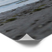 Poster du Bikini d'été (Coin)