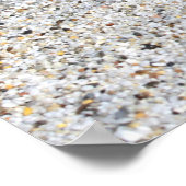 Poster du Bikini d'été (Coin)