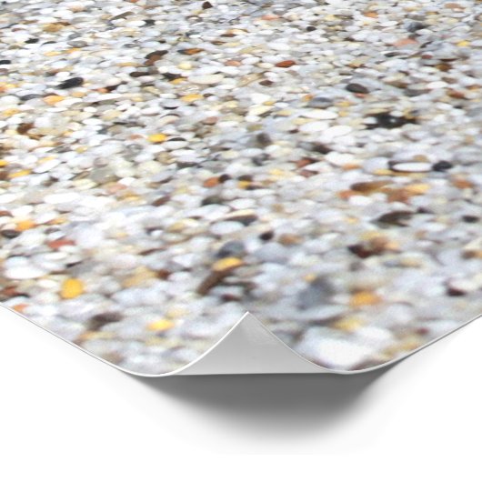 Poster du Bikini d'été (Coin)