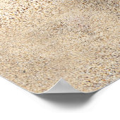 Poster du Bikini d'été (Coin)